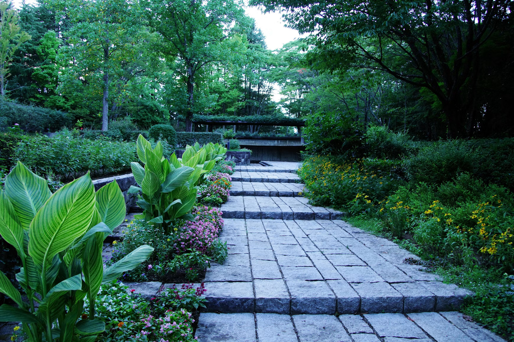 Front entry to garden
