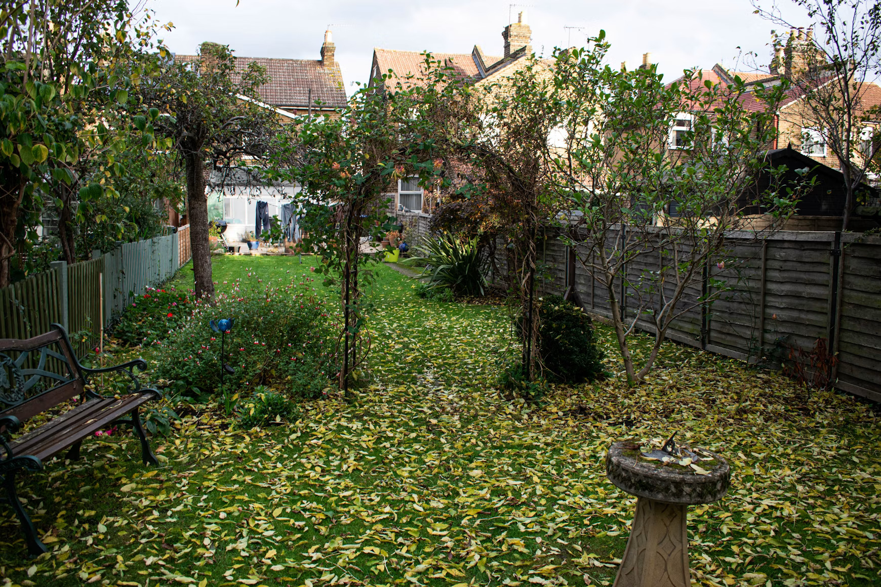 Yard before construction