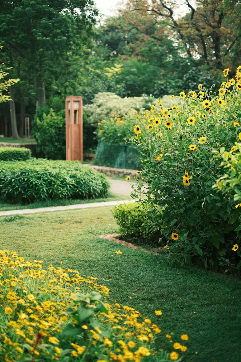 Pollinator garden filled with flowers